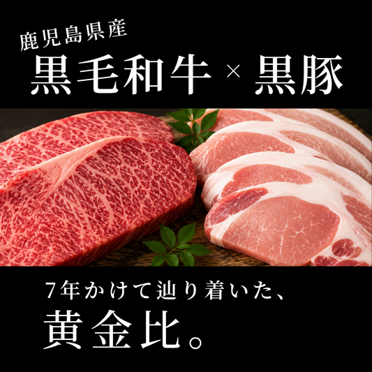 鹿児島肉祭りハンバーグ(黒毛和牛×黒豚)