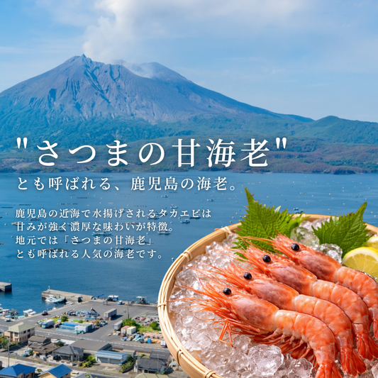 タカエビの刺身