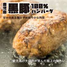 画像をギャラリービューアに読み込む, \ 初回限定 / 黒毛和牛×黒豚 ハンバーグ・牛すじカレー詰め合わせ (ハンバーグ3種+牛すじカレー2P)