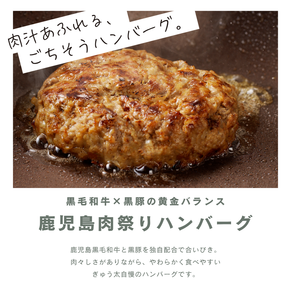 【 初回限定 ・送料無料】 肉グルメ詰め合わせ（黒豚ロースかつ1枚+鹿児島ハンバーグ2個＋牛すじカレー2P）
