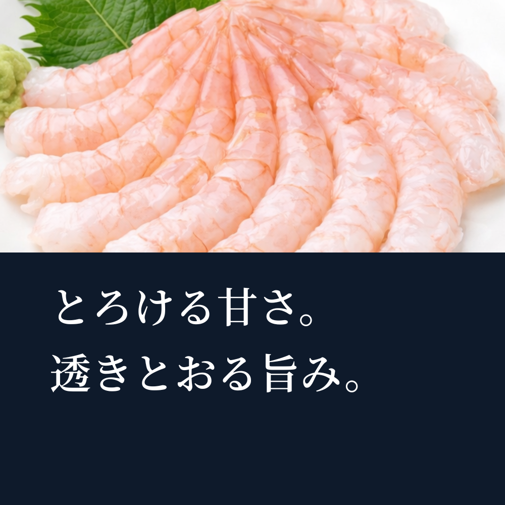 タカエビの刺身