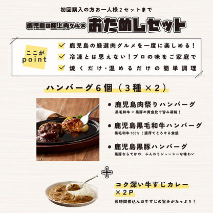 ＼ 初回限定 ・送料無料／ 黒毛和牛×黒豚 ハンバーグ・牛すじカレー詰め合わせ （ハンバーグ3種＋牛すじカレー2P）